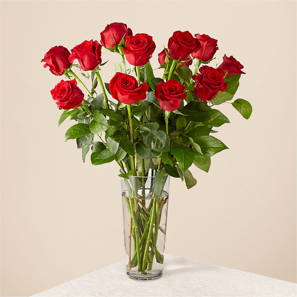 Long Stem Red Rose Bouquet – DANIELLE'S FLORIST, Rockaway Park NY