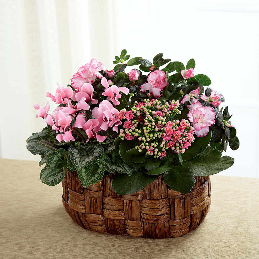 Pink Assortment – DANIELLE'S FLORIST, Rockaway Park NY