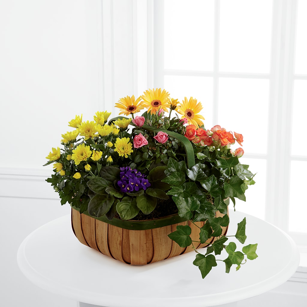 Gentle Blossoms Basket – DANIELLE'S FLORIST, Rockaway Park NY