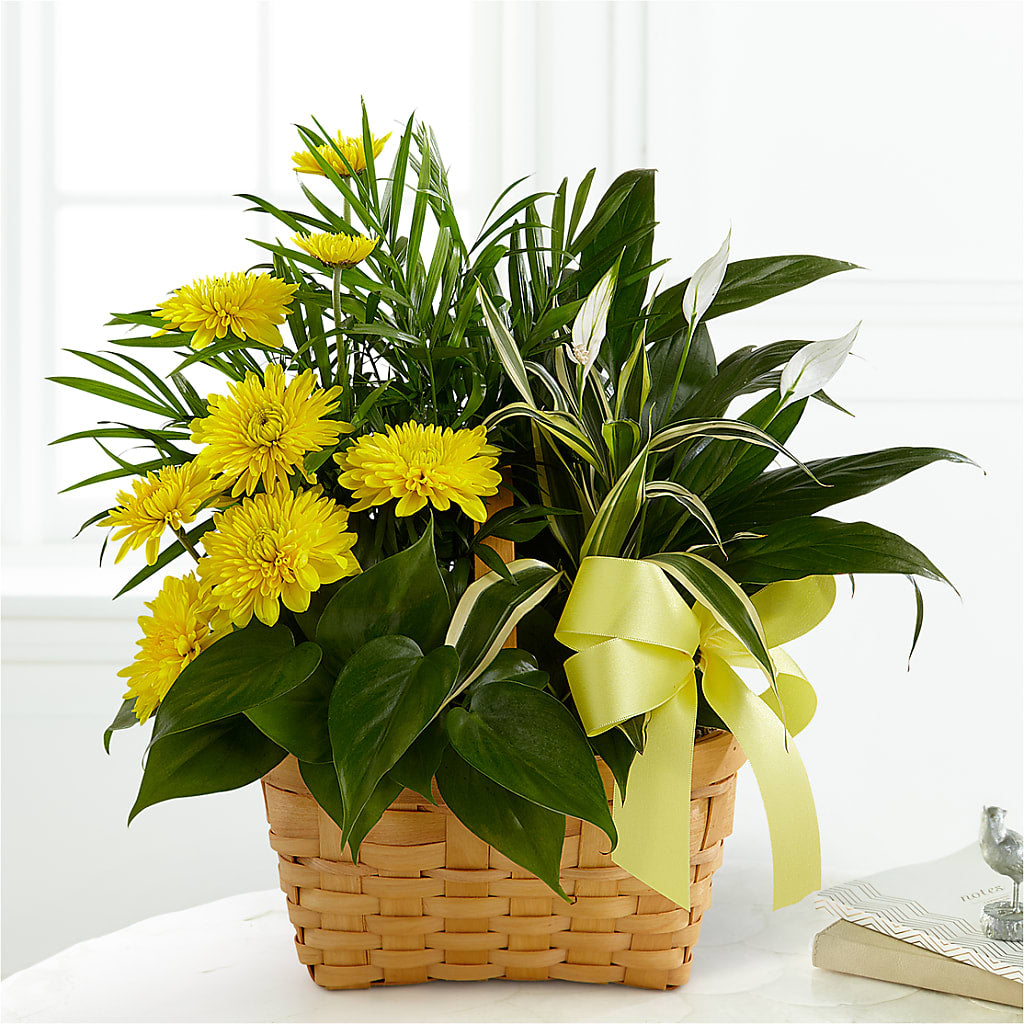 Loving Light Dishgarden – DANIELLE'S FLORIST, Rockaway Park NY