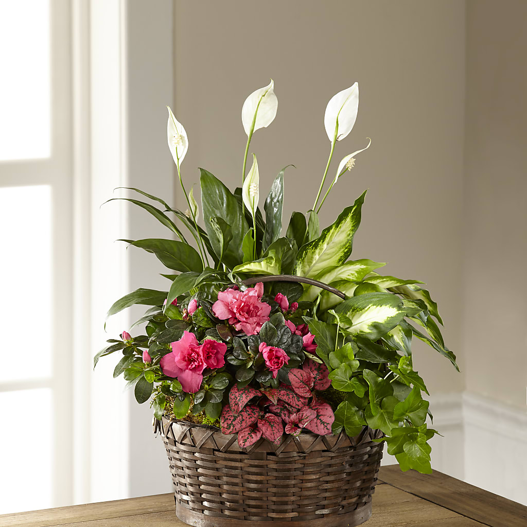 Dream in Pink Dishgarden – DANIELLE'S FLORIST, Rockaway Park NY
