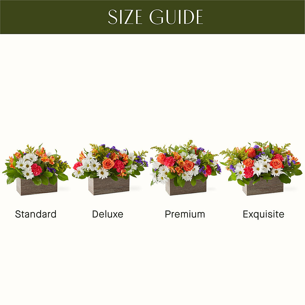 Oopsie Daisy Box Bouquet – DANIELLE'S FLORIST, Rockaway Park NY