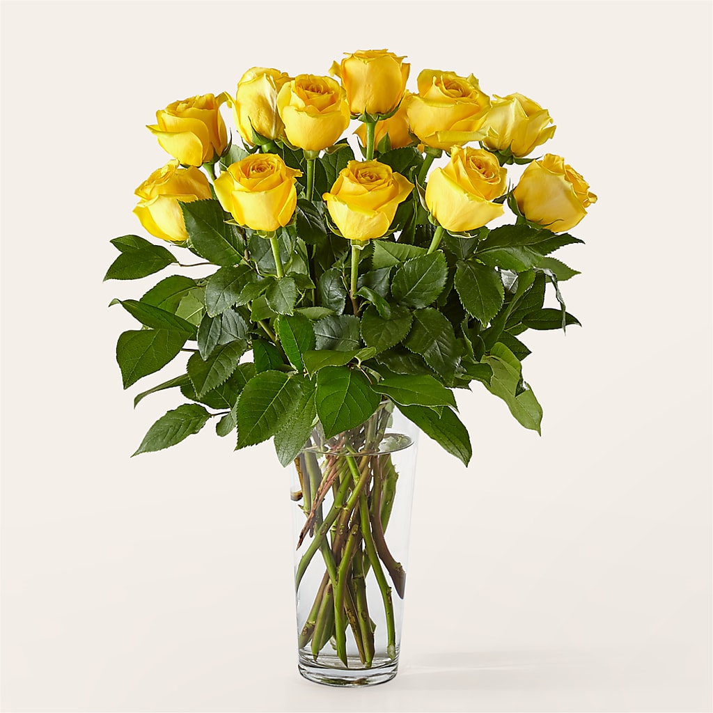 Long Stem Yellow Rose Bouquet – DANIELLE'S FLORIST, Rockaway Park NY