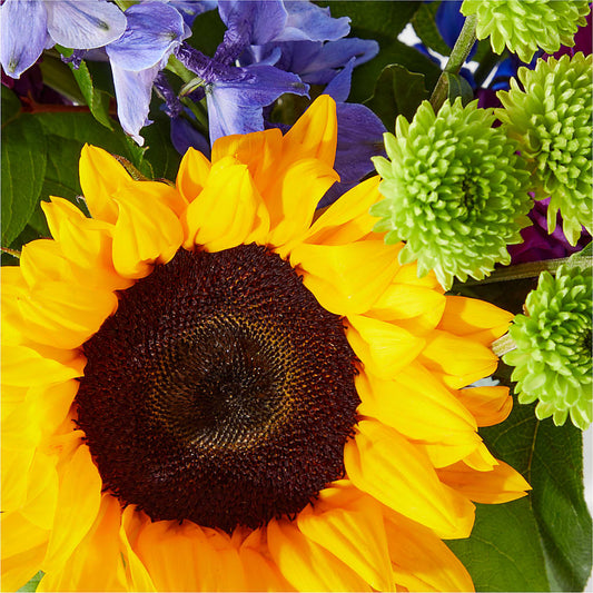 Catching Rays Bouquet – DANIELLE'S FLORIST, Rockaway Park NY