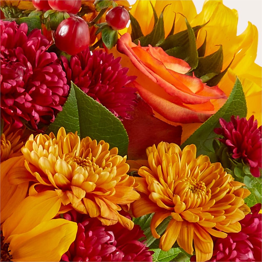 Sweater Season - A Florist Original – DANIELLE'S FLORIST, Rockaway Park NY