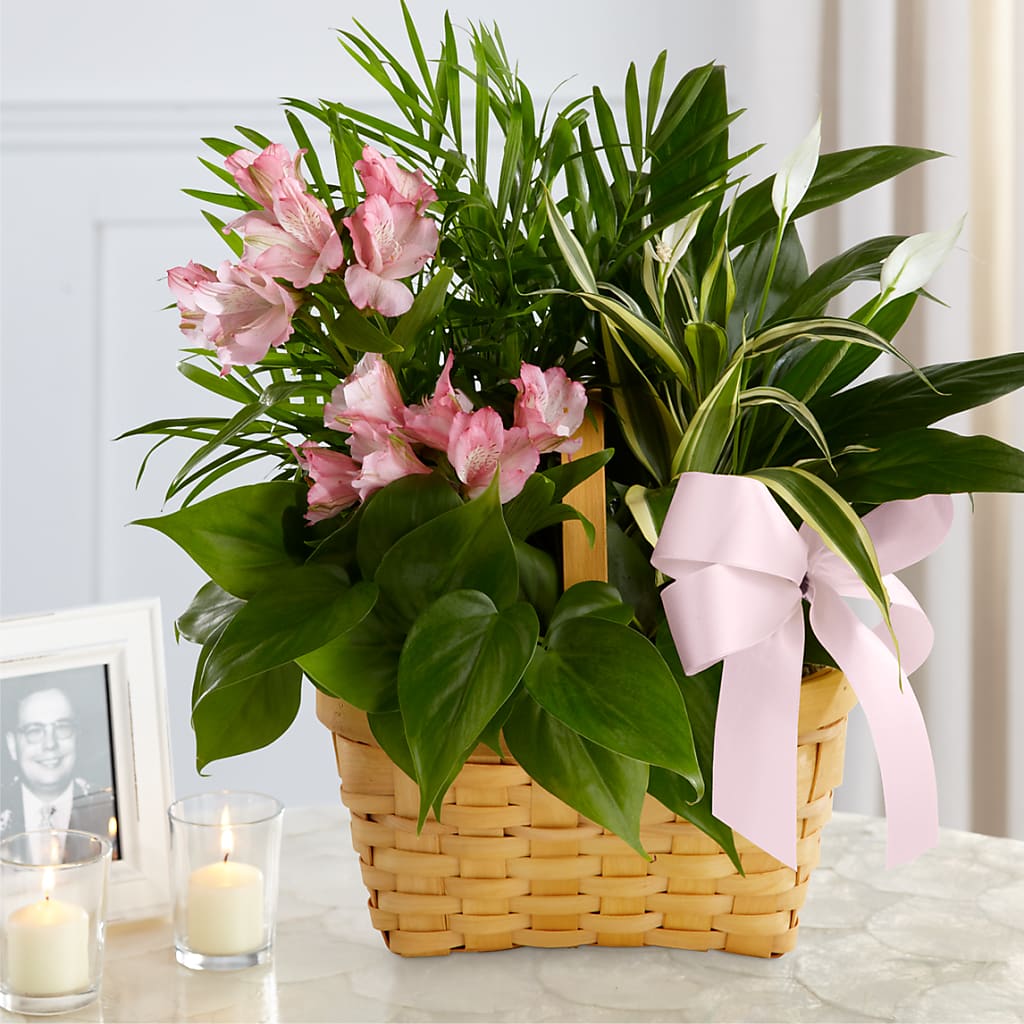 Living Spirit Dishgarden – DANIELLE'S FLORIST, Rockaway Park NY