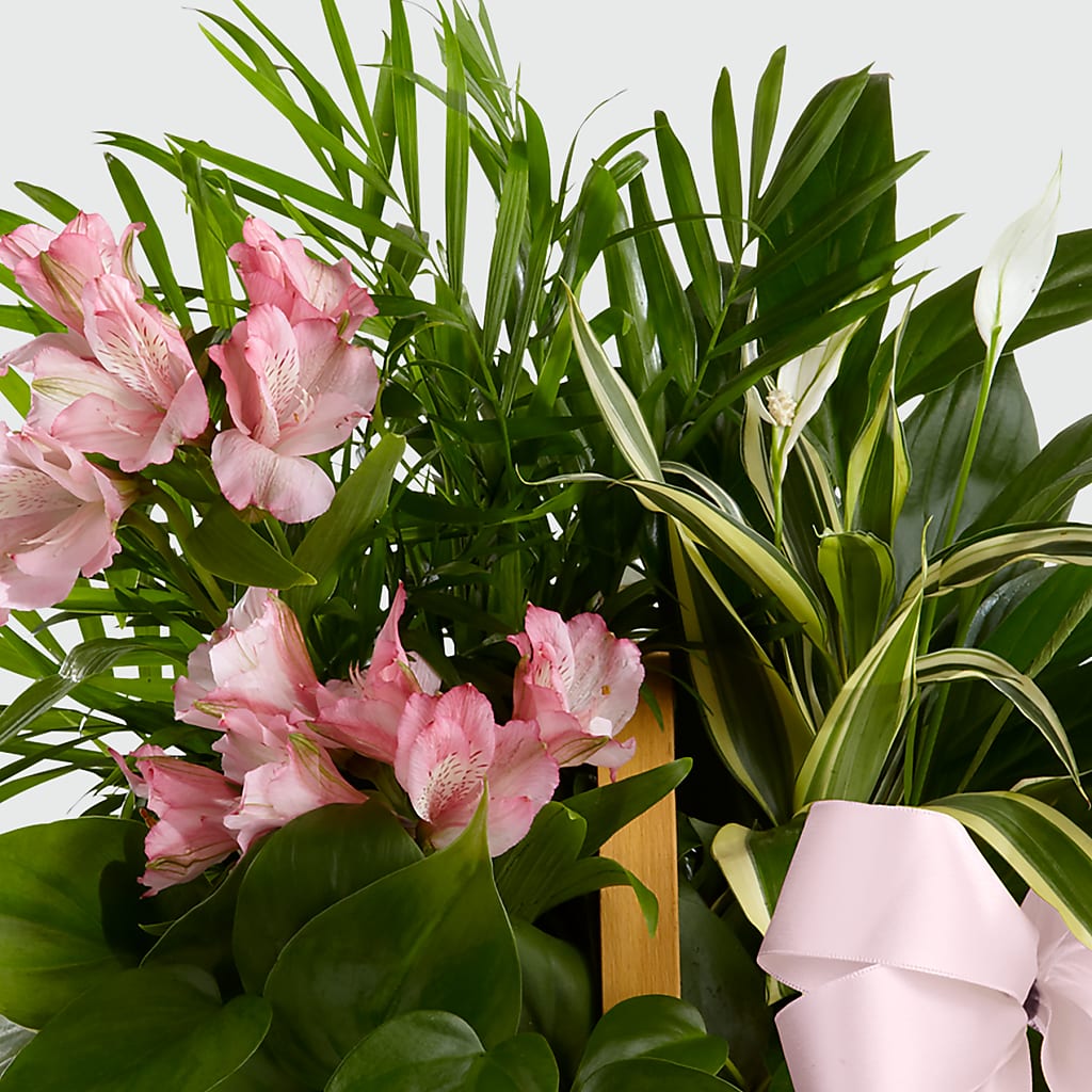 Living Spirit Dishgarden – DANIELLE'S FLORIST, Rockaway Park NY