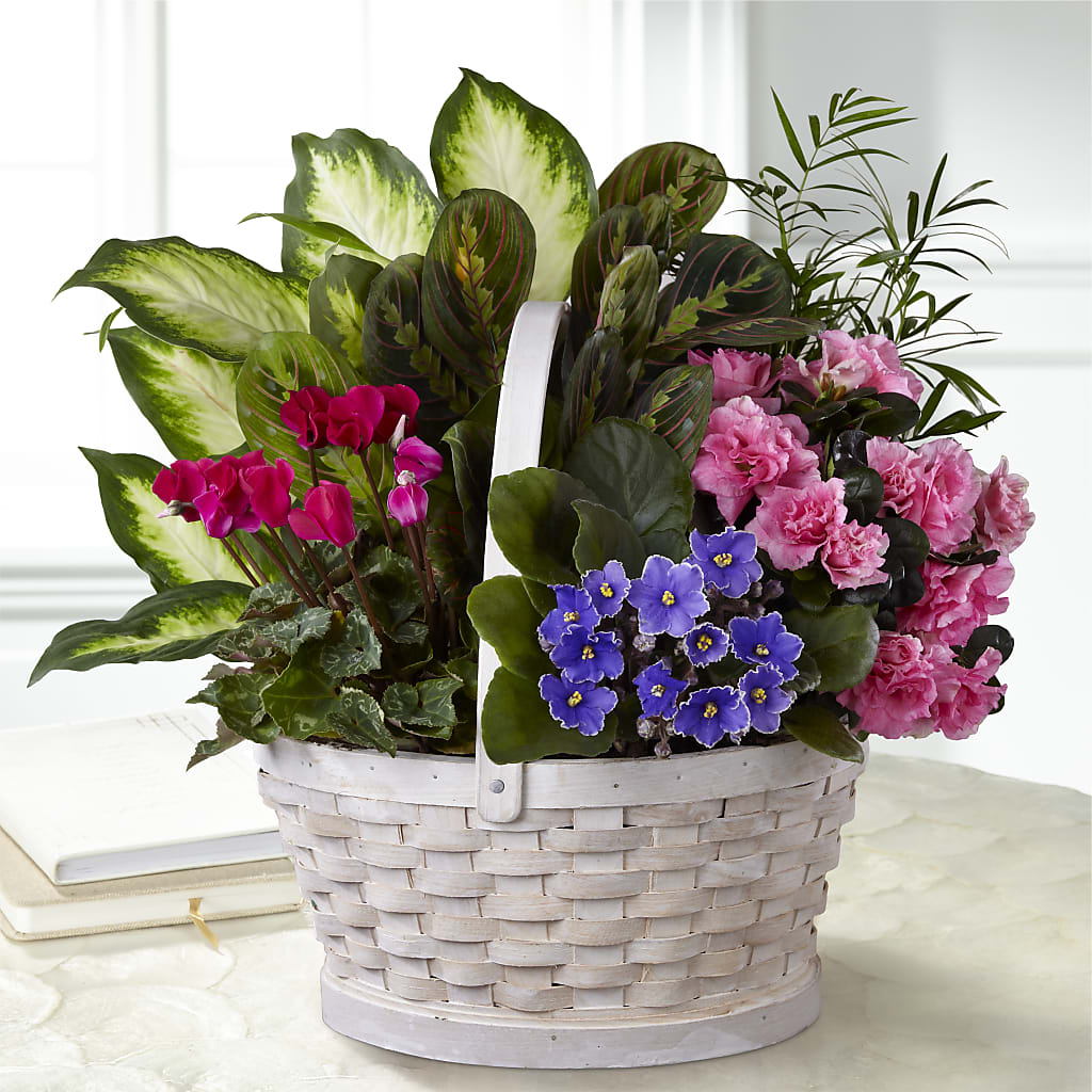 Peaceful Garden Planter – DANIELLE'S FLORIST, Rockaway Park NY