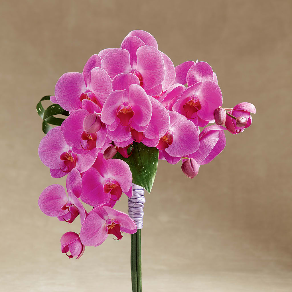 Glorious Bouquet – DANIELLE'S FLORIST, Rockaway Park NY
