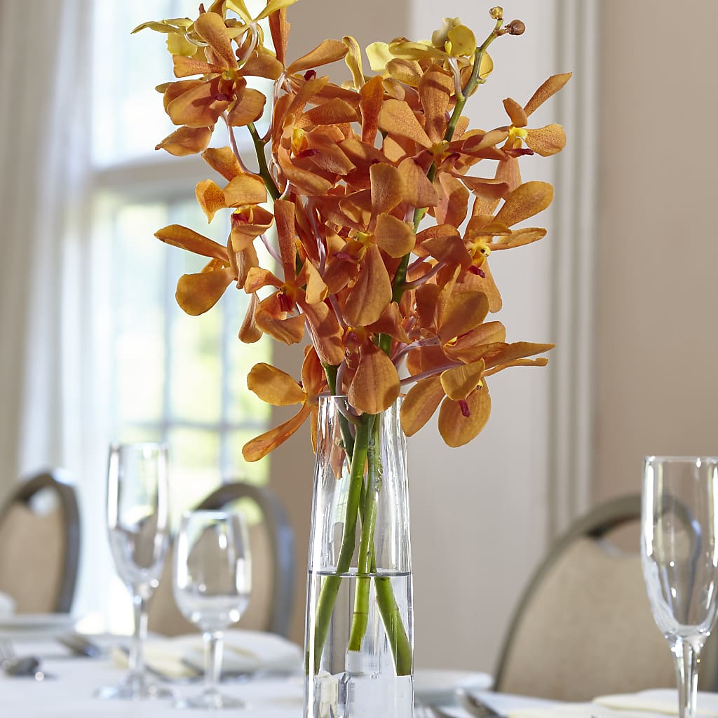 Orange Mokara Bud Vase – DANIELLE'S FLORIST, Rockaway Park NY
