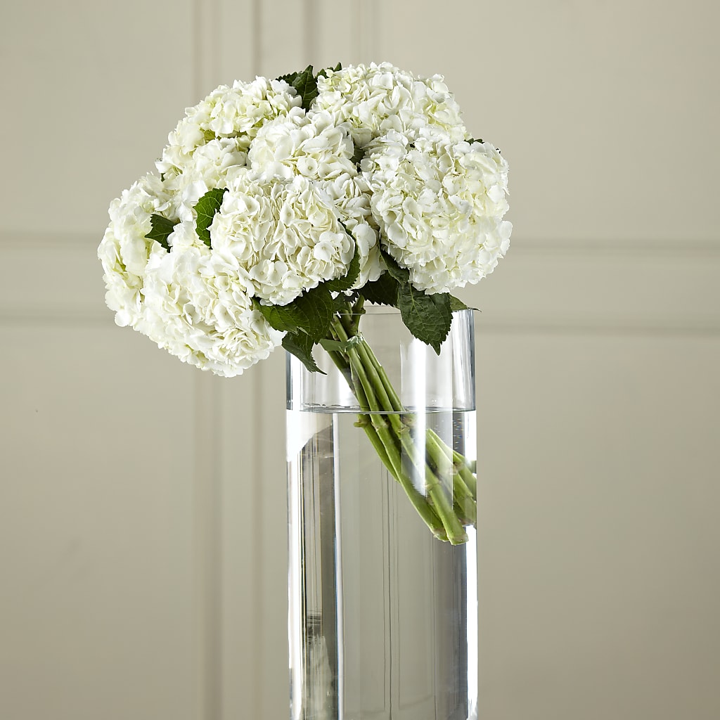 White Hydrangea Hand-Tied Bouquet – DANIELLE'S FLORIST, Rockaway Park NY