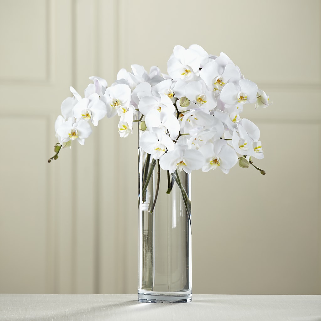 White Phalaenopsis Bouquet – DANIELLE'S FLORIST, Rockaway Park NY