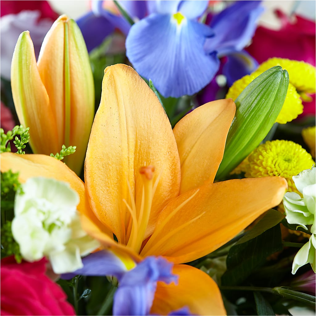 Bold & Bright – A Florist Original – DANIELLE'S FLORIST, Rockaway Park NY
