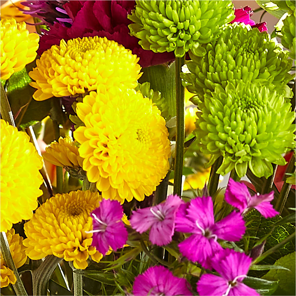 Bold & Bright – A Florist Original – DANIELLE'S FLORIST, Rockaway Park NY