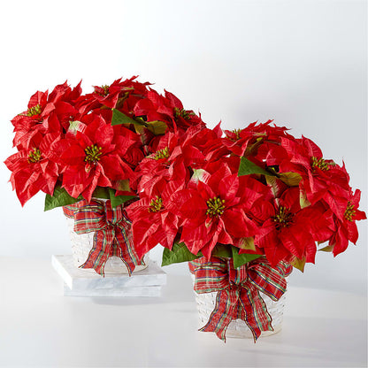 Happiest Holidays Poinsettia Bundle – DANIELLE'S FLORIST, Rockaway Park NY