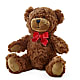 Adorable Plush Bear – DANIELLE'S FLORIST, Rockaway Park NY