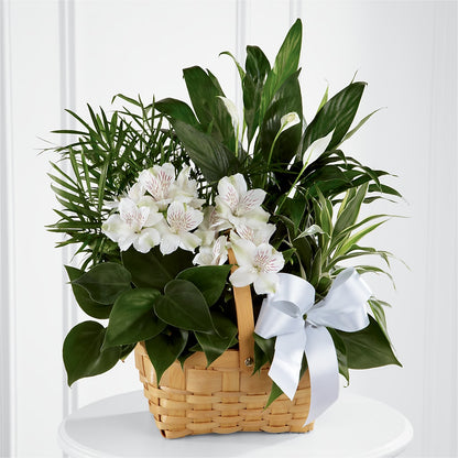 Peace & Serenity Dishgarden – DANIELLE'S FLORIST, Rockaway Park NY
