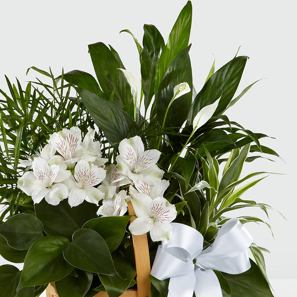 Peace & Serenity Dishgarden – DANIELLE'S FLORIST, Rockaway Park NY