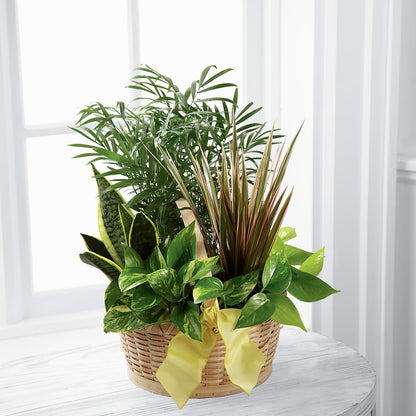 French Garden – DANIELLE'S FLORIST, Rockaway Park NY