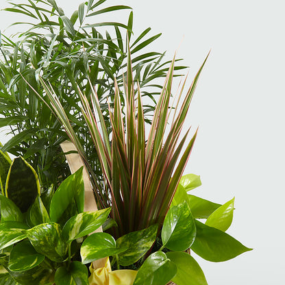 French Garden – DANIELLE'S FLORIST, Rockaway Park NY