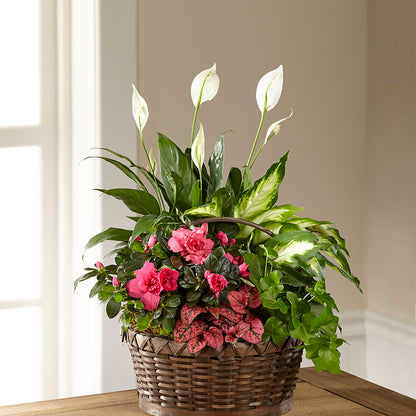 Dream in Pink Dishgarden – DANIELLE'S FLORIST, Rockaway Park NY