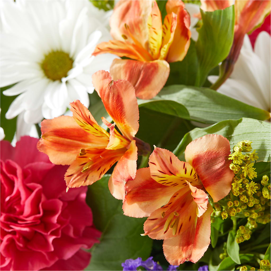 Oopsie Daisy Box Bouquet – DANIELLE'S FLORIST, Rockaway Park NY