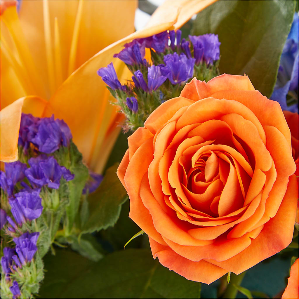Radiant Citrus Box Bouquet – DANIELLE'S FLORIST, Rockaway Park NY