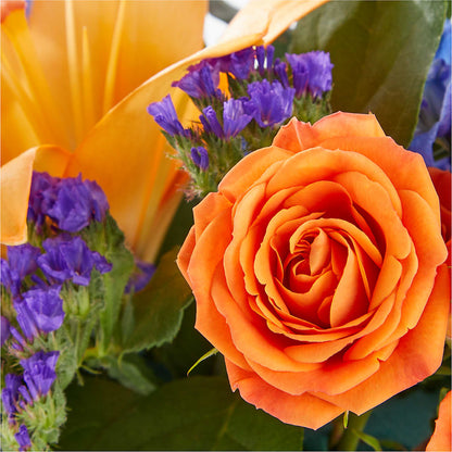 Radiant Citrus Box Bouquet – DANIELLE'S FLORIST, Rockaway Park NY