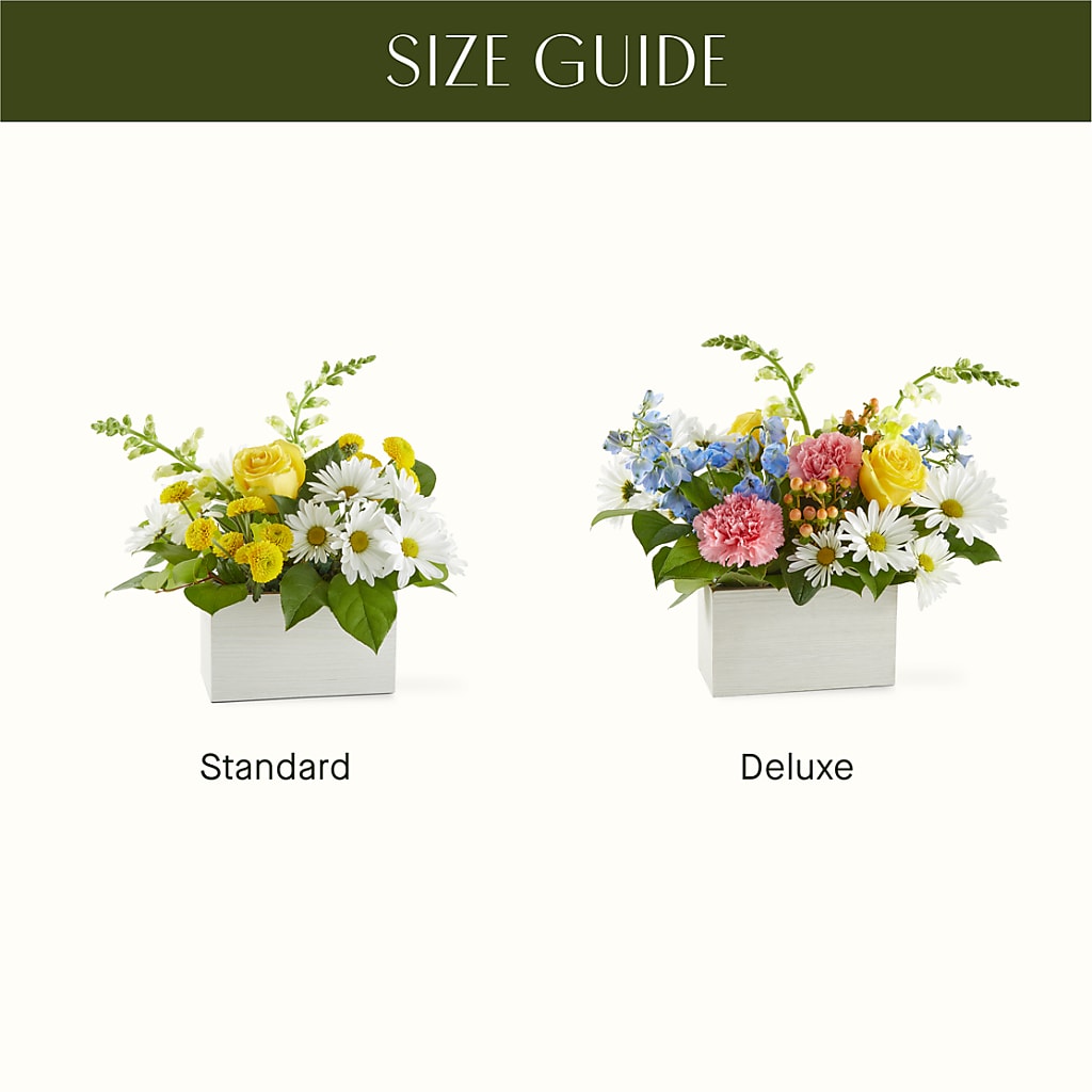 Sun Salutation Box Bouquet – DANIELLE'S FLORIST, Rockaway Park NY