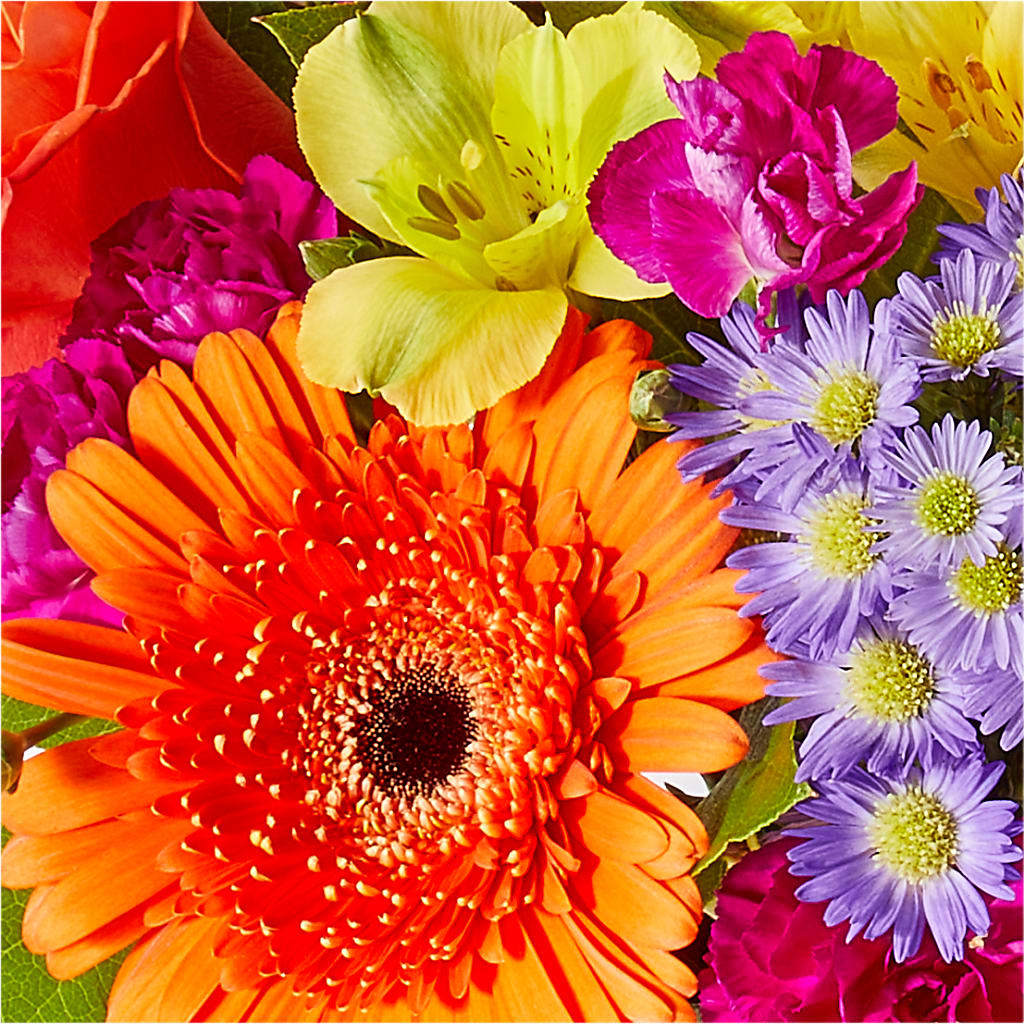 Tricks & Treats Pumpkin – DANIELLE'S FLORIST, Rockaway Park NY
