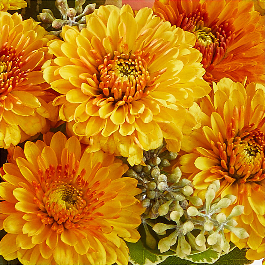 Peachy Pumpkin – DANIELLE'S FLORIST, Rockaway Park NY