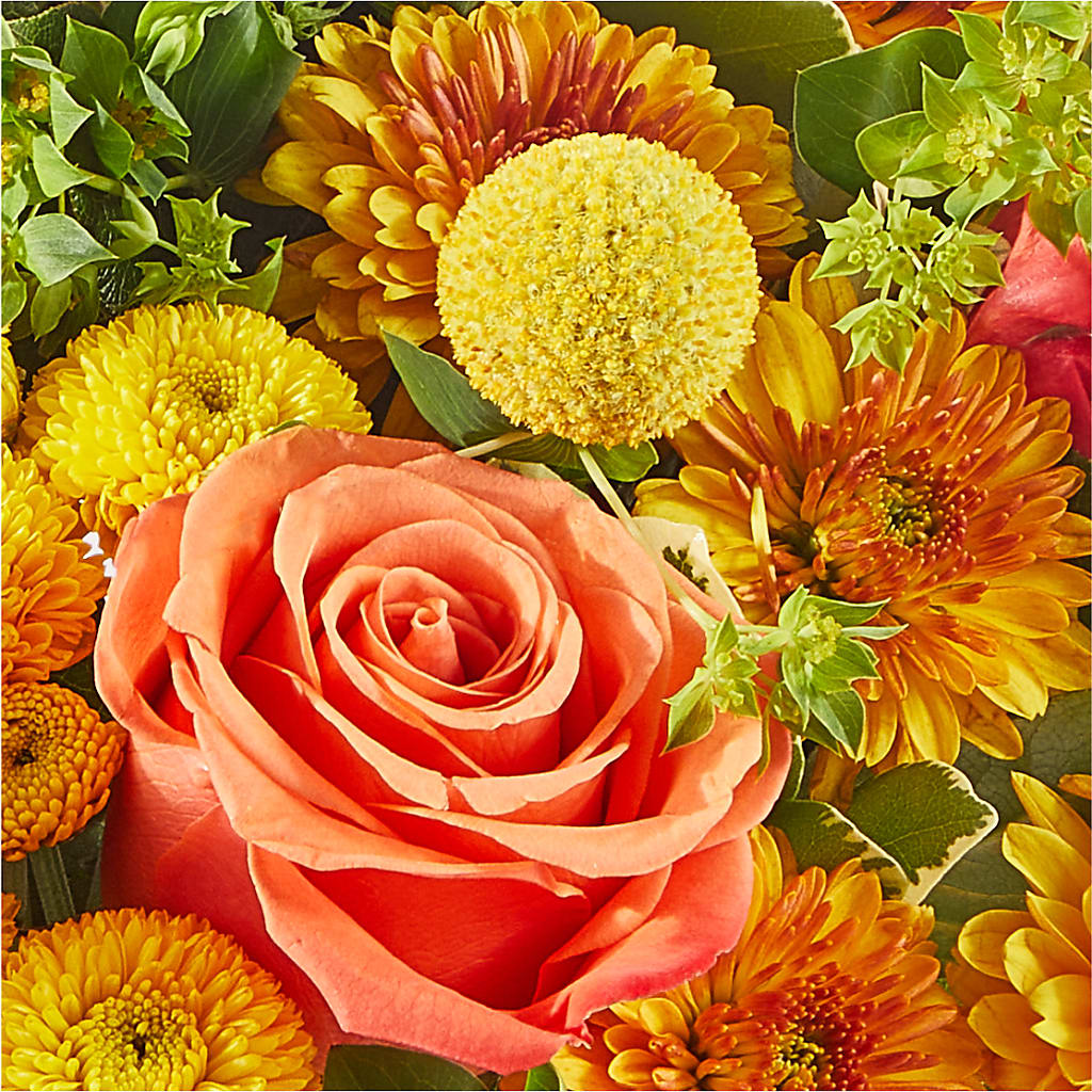 Gourdgeous Pumpkin – DANIELLE'S FLORIST, Rockaway Park NY