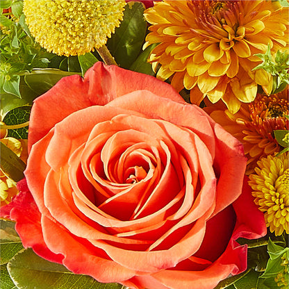 Gourdgeous Pumpkin – DANIELLE'S FLORIST, Rockaway Park NY