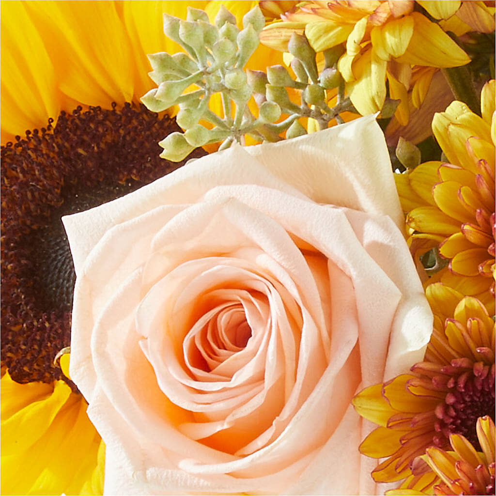 Pumpkin to Talk About Bouquet – DANIELLE'S FLORIST, Rockaway Park NY