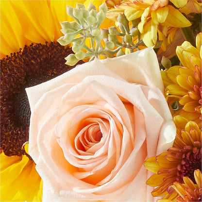 Pumpkin to Talk About Bouquet – DANIELLE'S FLORIST, Rockaway Park NY