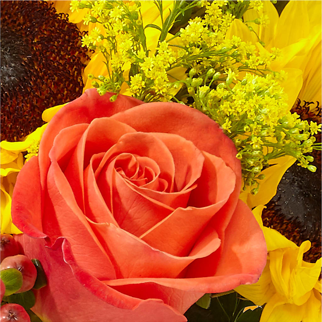 Pick of the Patch Pumpkin Bouquet – DANIELLE'S FLORIST, Rockaway Park NY