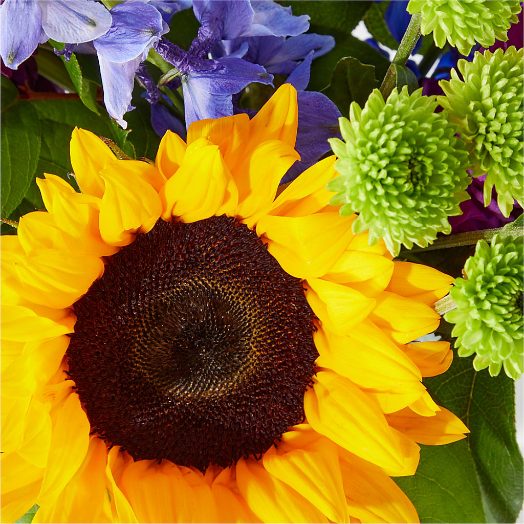 Catching Rays Bouquet – DANIELLE'S FLORIST, Rockaway Park NY