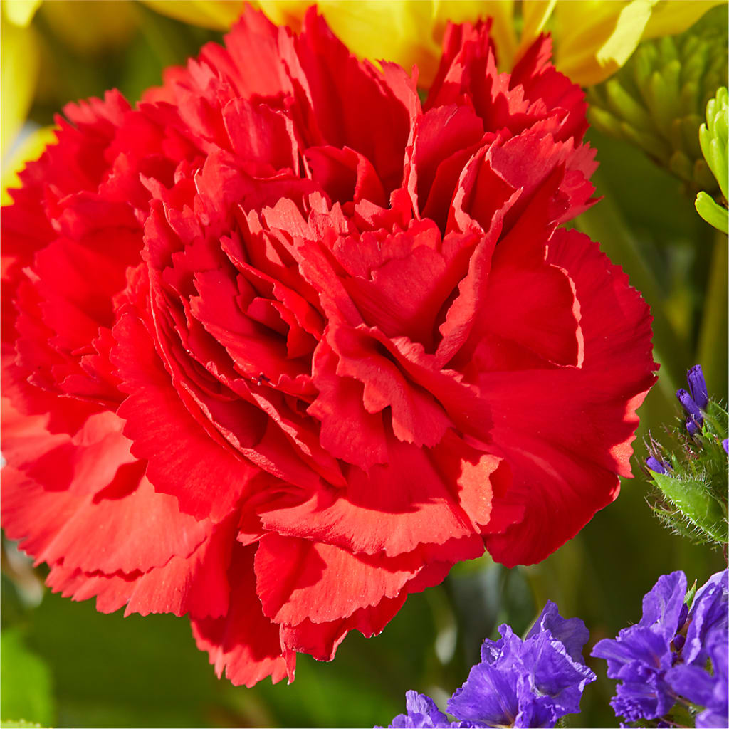 Brighter Days Bouquet – DANIELLE'S FLORIST, Rockaway Park NY