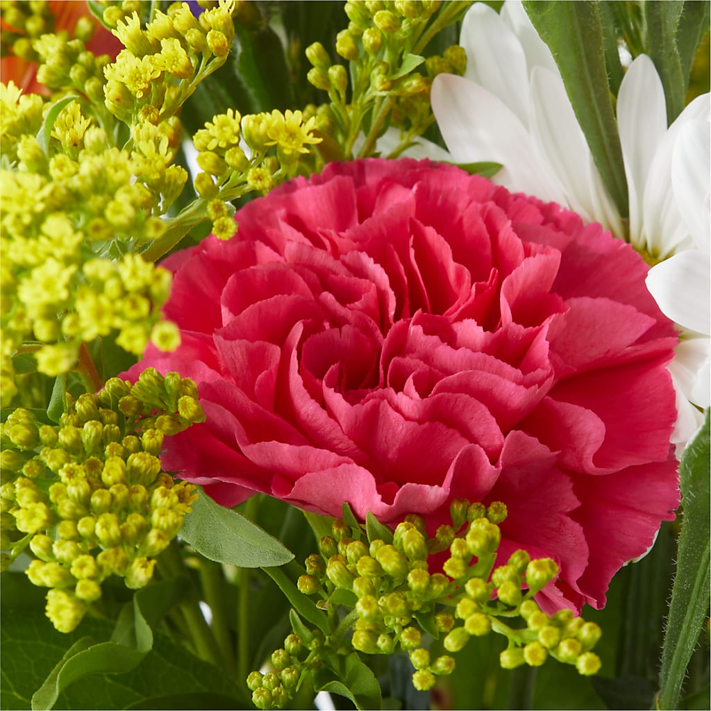 Oopsie Daisy Bouquet – DANIELLE'S FLORIST, Rockaway Park NY