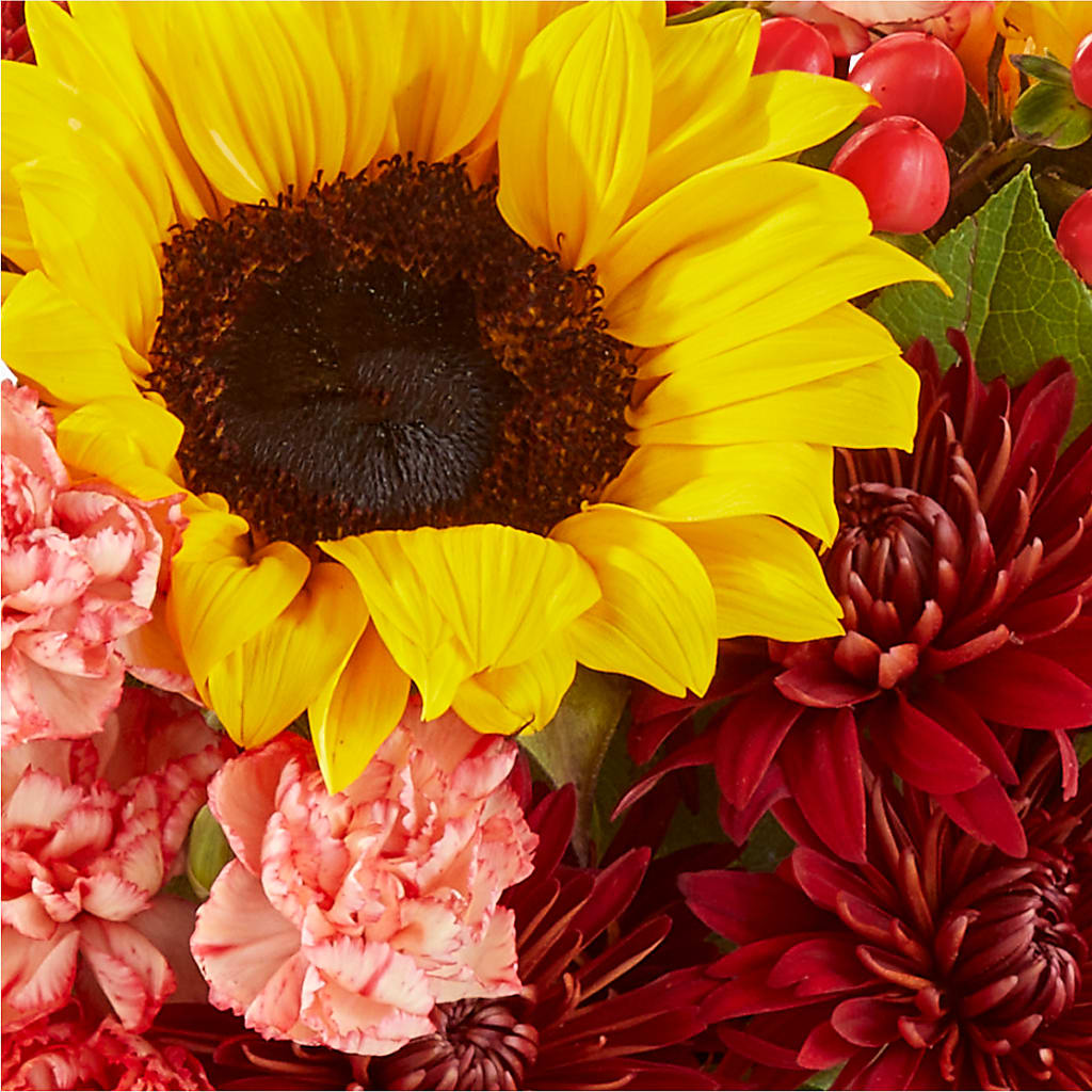 Fresh Cider Bouquet – DANIELLE'S FLORIST, Rockaway Park NY