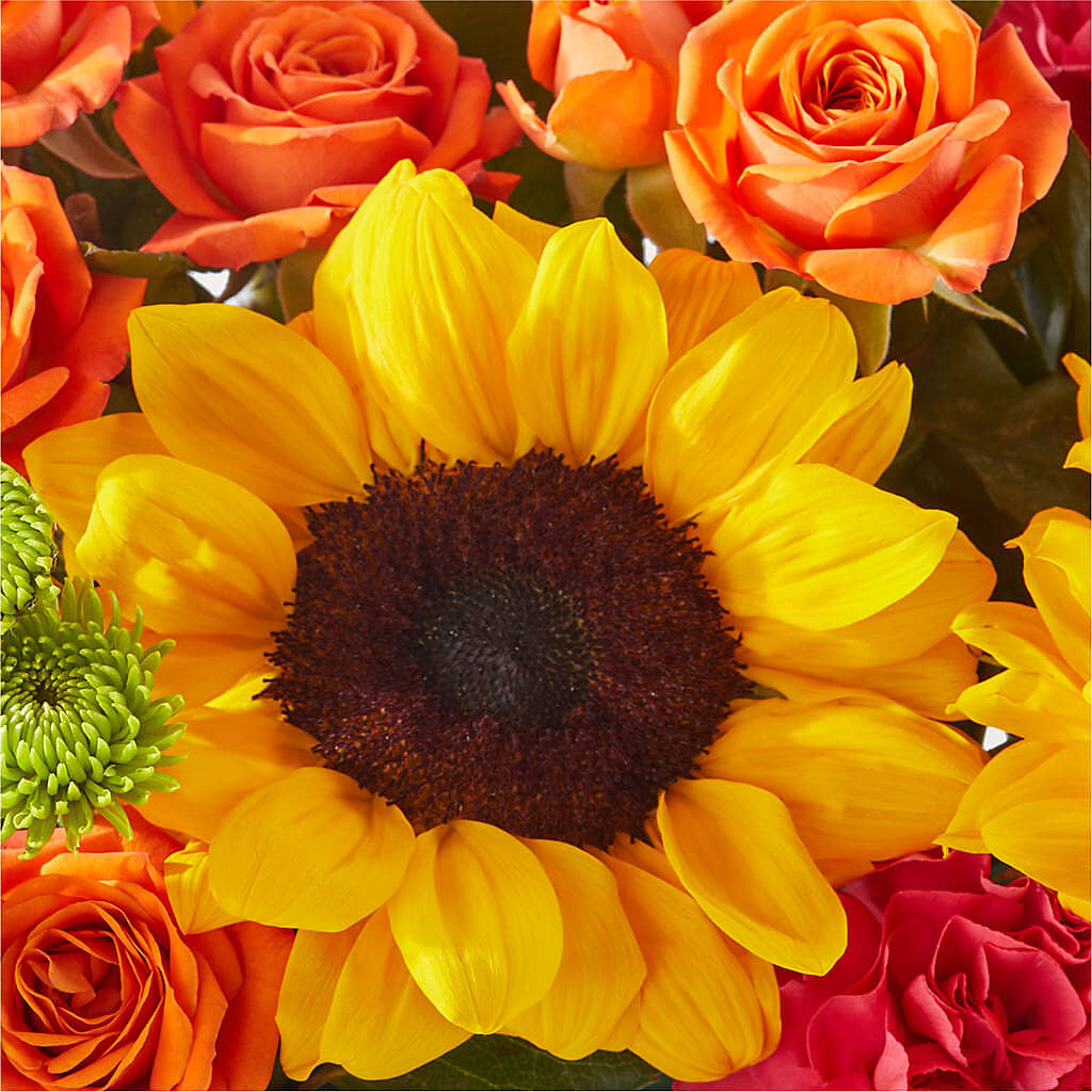 Sun-drenched Blooms Box Bouquet – DANIELLE'S FLORIST, Rockaway Park NY