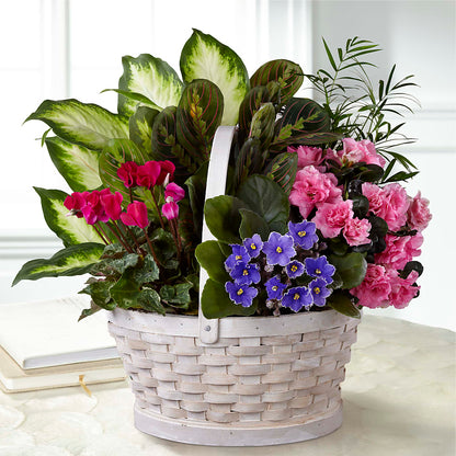 Peaceful Garden Planter – DANIELLE'S FLORIST, Rockaway Park NY
