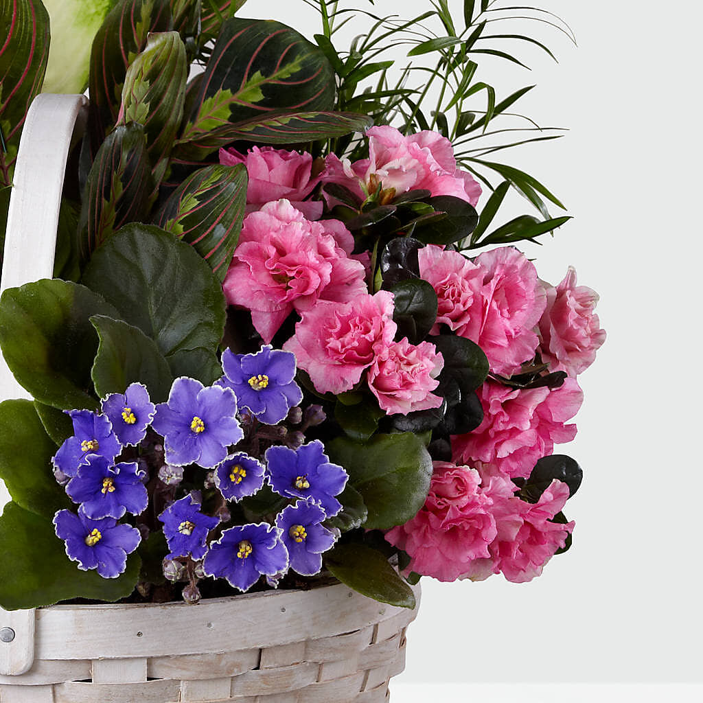 Peaceful Garden Planter – DANIELLE'S FLORIST, Rockaway Park NY