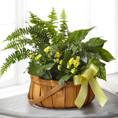 Always Dear Dishgarden – DANIELLE'S FLORIST, Rockaway Park NY