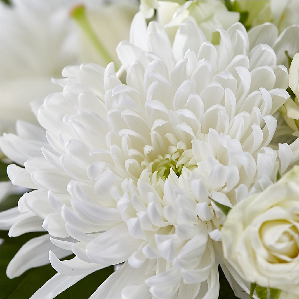 Classic Ivory – A Florist Original – DANIELLE'S FLORIST, Rockaway Park NY