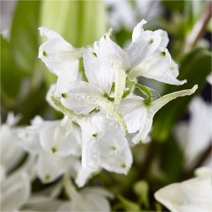 Classic Ivory – A Florist Original – DANIELLE'S FLORIST, Rockaway Park NY