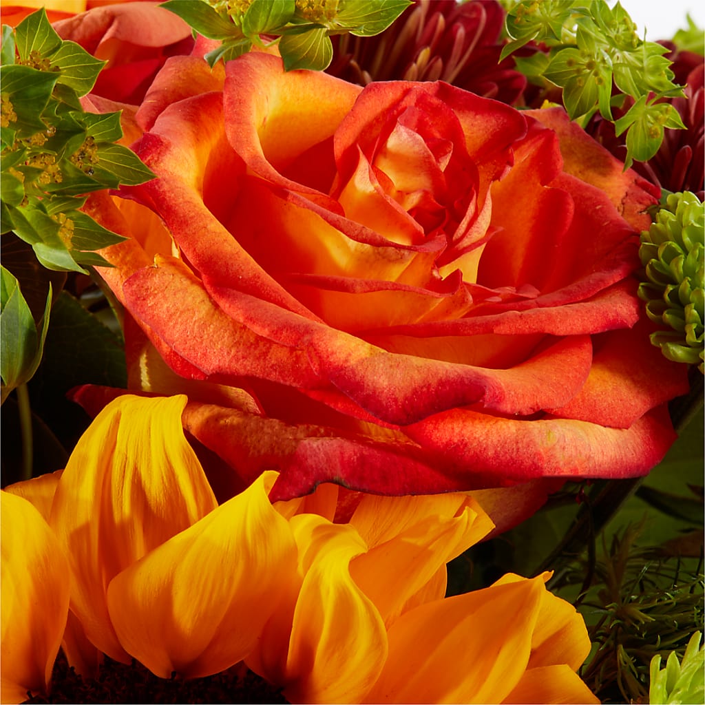 Harvest Festival Bouquet – DANIELLE'S FLORIST, Rockaway Park NY