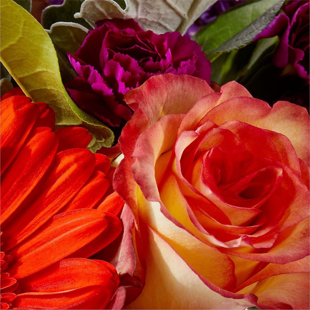 Sangria Bouquet – DANIELLE'S FLORIST, Rockaway Park NY