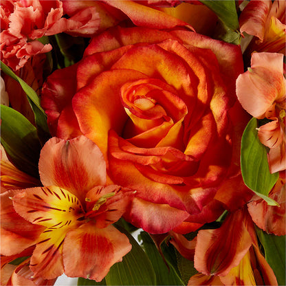 Apricot Glow Bouquet – DANIELLE'S FLORIST, Rockaway Park NY