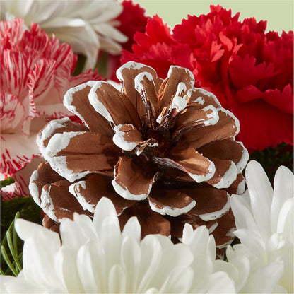 Candy Cane Lane Bouquet – DANIELLE'S FLORIST, Rockaway Park NY